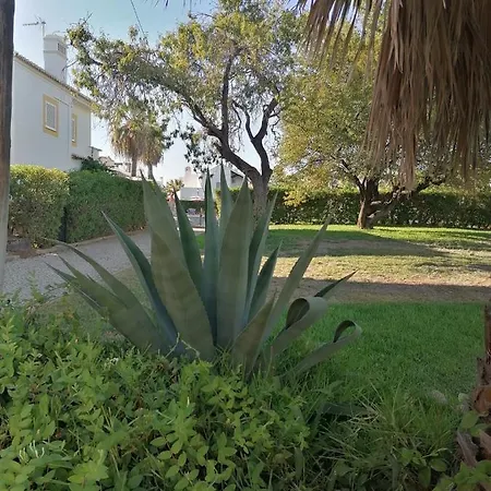 Quinta Velha Jolie 208 By Algarent Aparthotel *